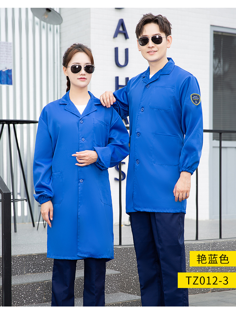 TZ011(图21)