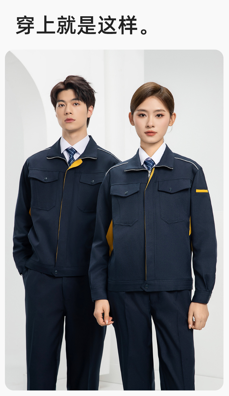 DL237(图12)